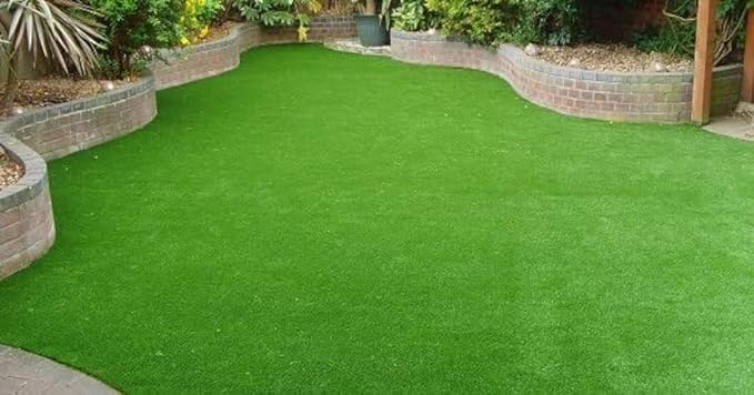 Grass Seeds Hybrid Best For Your Beautiful Home Gardening (Pack Of 100 seeds) (Pack of 3)