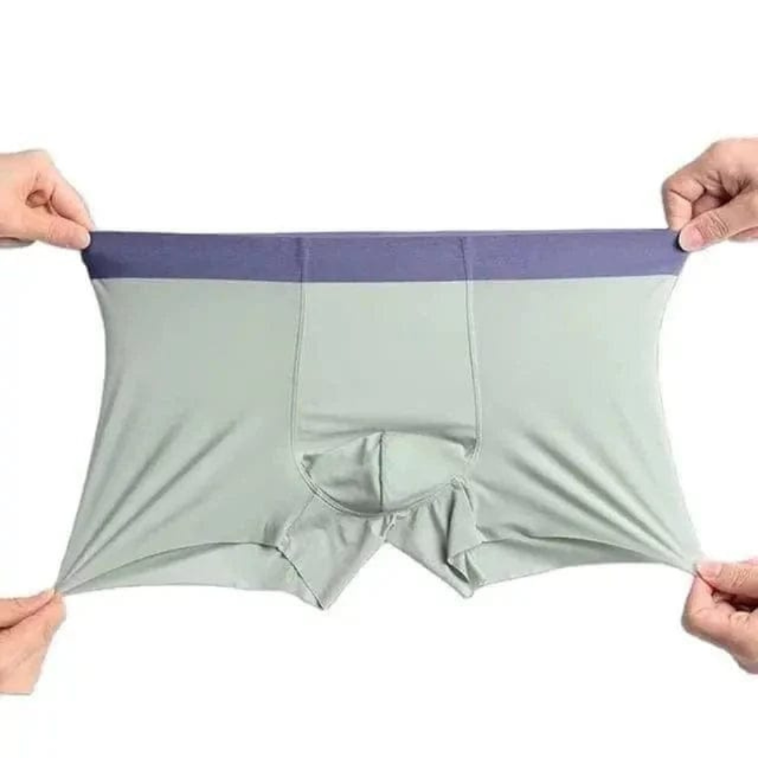 Premium Ice Silk Men's Underwear (Pack of 5)