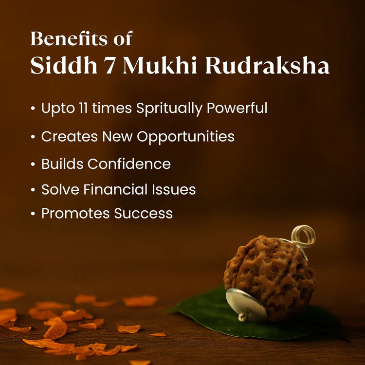Siddh 7 Mukhi Rudraksha (Nepali Beads) with Silver Capped Pendant