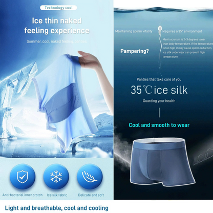 Premium Ice Silk Men's Underwear (Pack of 5)