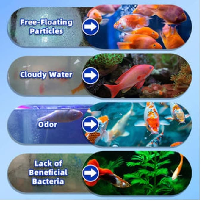 Fish Tank Water Purifier Algae Remover 100ml (Pack of 3)