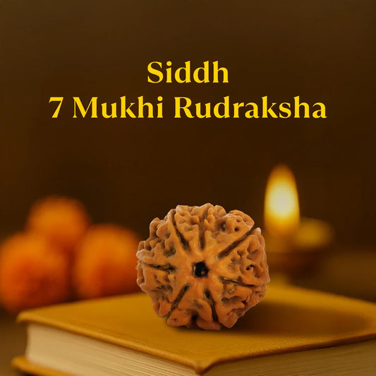 Siddh 7 Mukhi Rudraksha (Nepali Beads) with Silver Capped Pendant