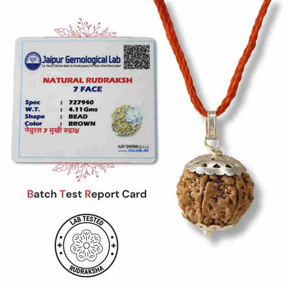 Siddh 7 Mukhi Rudraksha (Nepali Beads) with Silver Capped Pendant